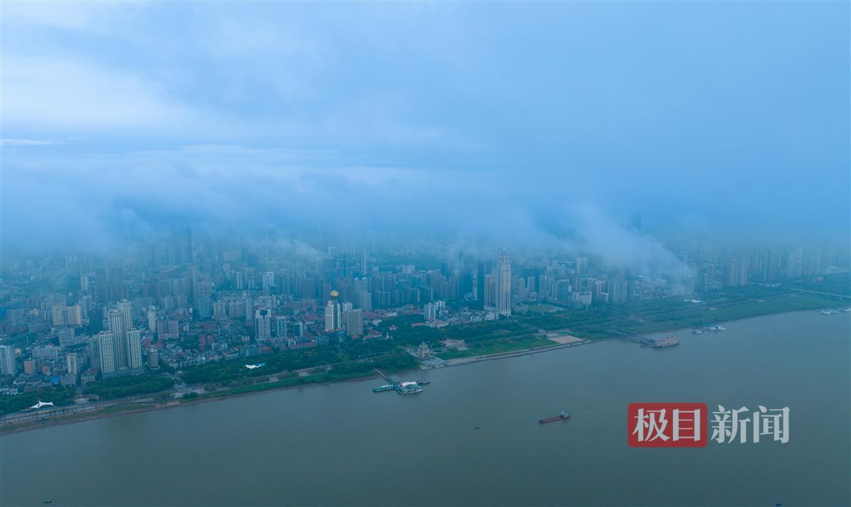 10博中文网
